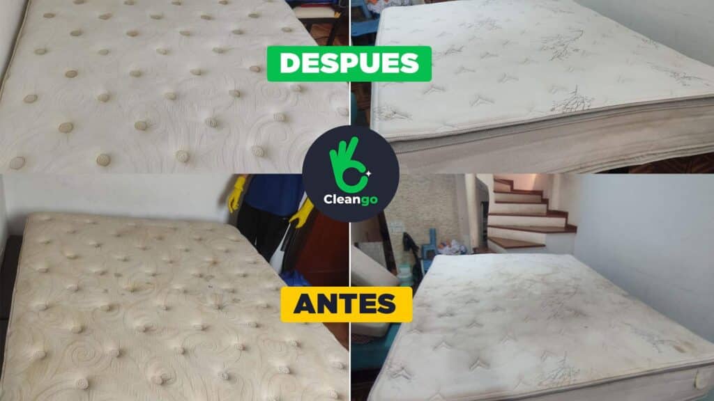 Lavado de colchones